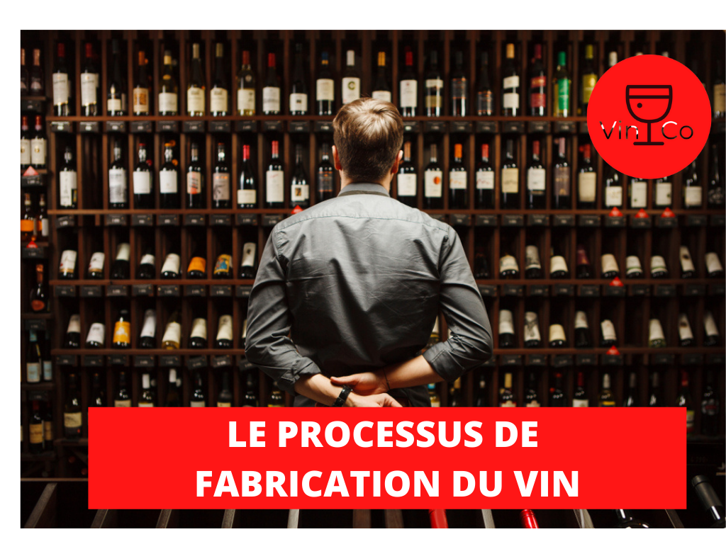 Le processus de fabrication du vin ! Le Guide Ultime !